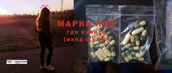 индика Волосово