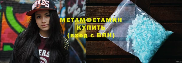 шишки Надым
