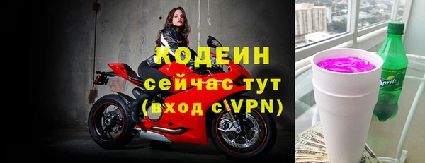 индика Волосово