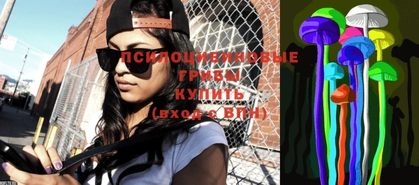 индика Волосово