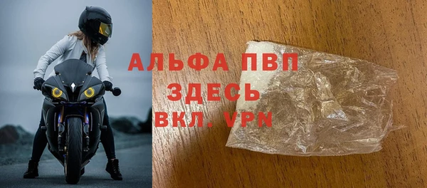 СК Волоколамск