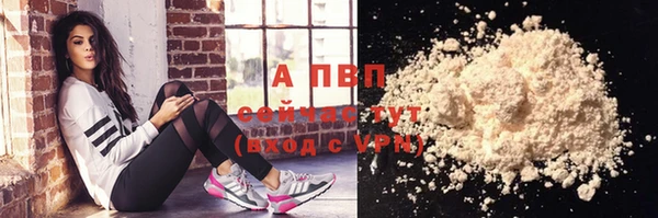 индика Волосово