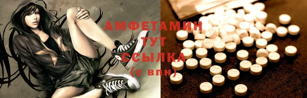 индика Волосово