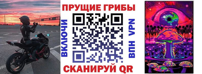 Псилоцибиновые грибы прущие грибы  blacksprut ССЫЛКА  Новомосковск  где купить наркоту 
